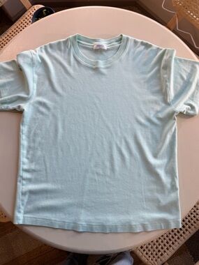 Babaton Pegasus Tee in Mint
